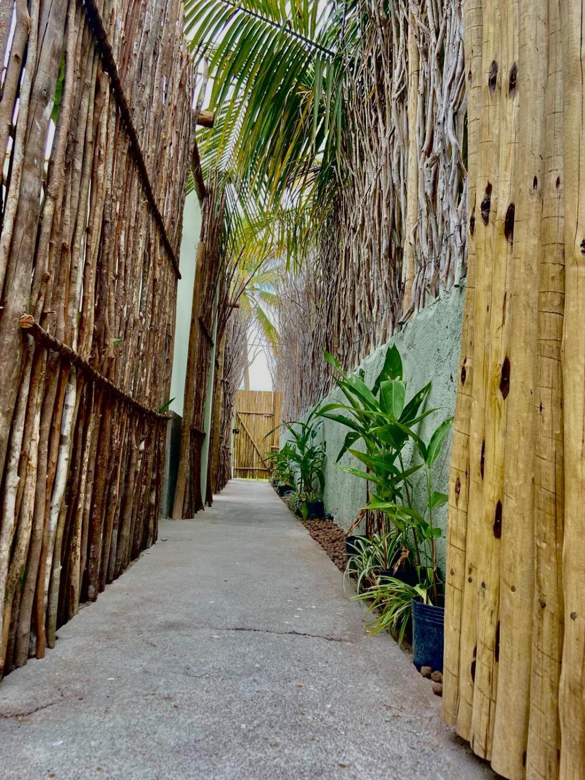 Malu - Bangalo M
